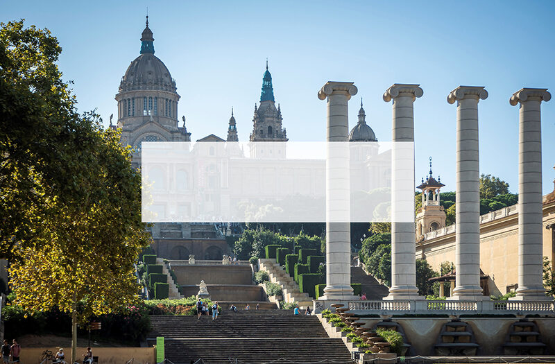 Universidad pública en España